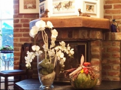 照片: Bauernhofcafé Binnenheide